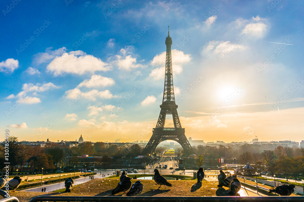 Eiffel Tower Sunrise with Birds in Paris, France