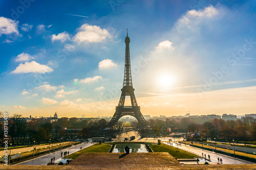 Eiffel Tower Sunrise with Bird in Paris, France
