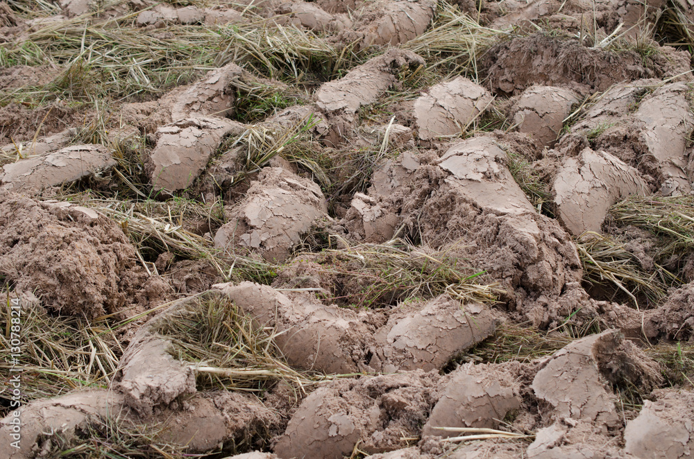 Tiller revolution preparing agricultural season. Tiller revolution preparing agricultural season.