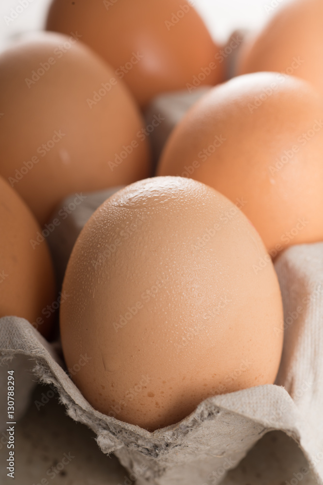Egg on Carton Crate Egg on Carton Crate