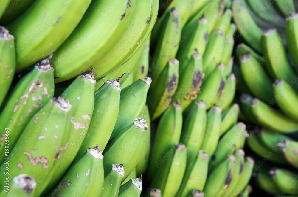 Green Banana Green Banana
