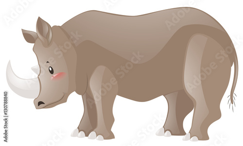 Cute rhino on white background