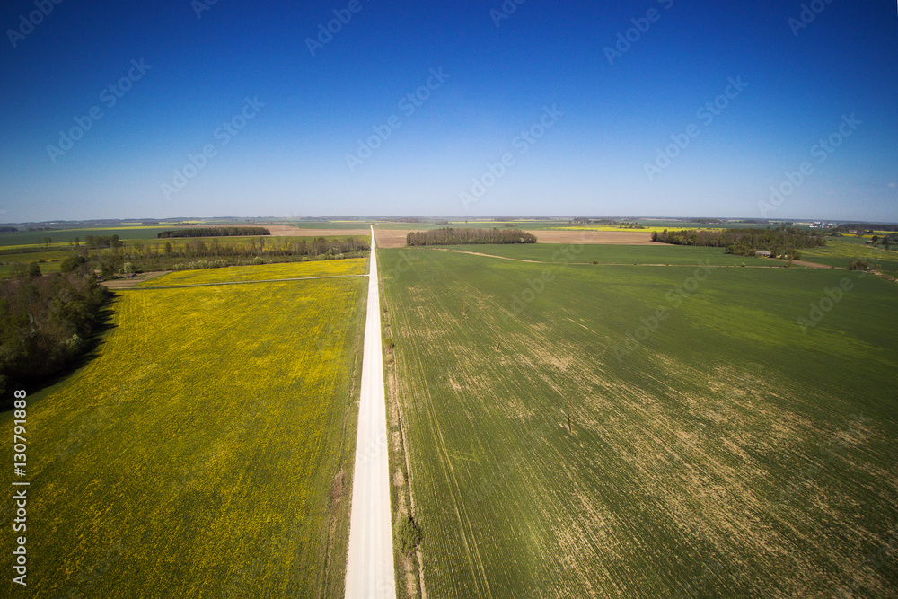 Midsummer afternoon in Latvian countryside. Midsummer afternoon in Latvian countryside.
