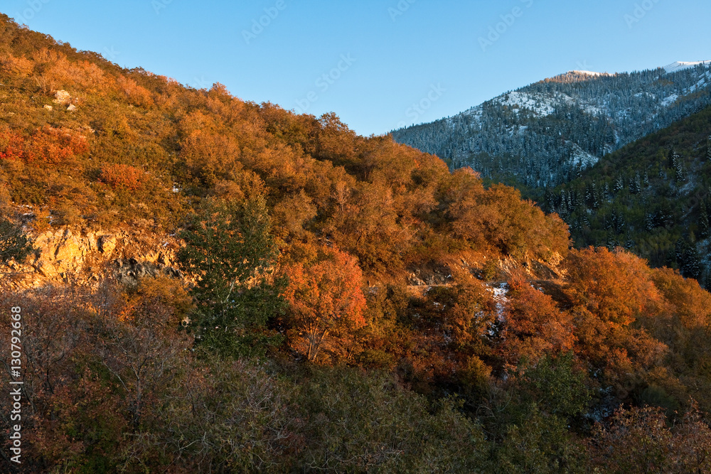 Fall at Wasatch National Forest, Wasatch Range