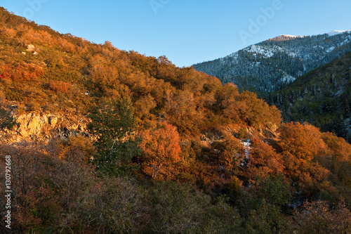 Fall at Wasatch National Forest, Wasatch Range © Laurens