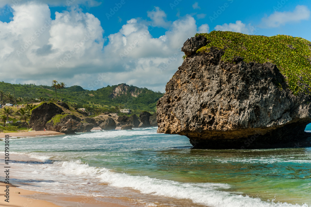 Naklejka premium Barbados single Rock 