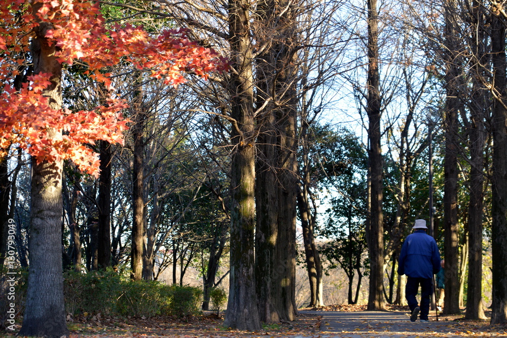 公園で散歩する老人