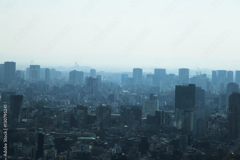 Japan cityscape view from Metropolitan Government Building in Shinjuku, Tokyo, Japan cityscape view from Metropolitan Government Building in Shinjuku, Tokyo,