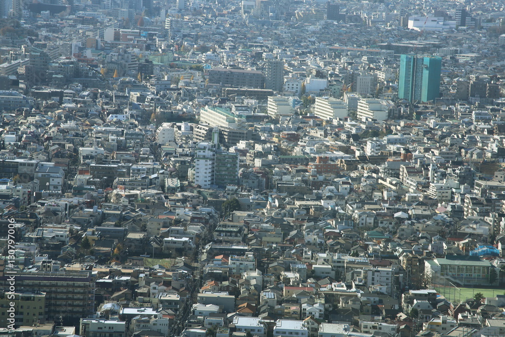 capital city of Japan view with Shinjuku districts capital city of Japan view with Shinjuku districts