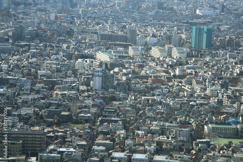 capital city of Japan view with Shinjuku districts