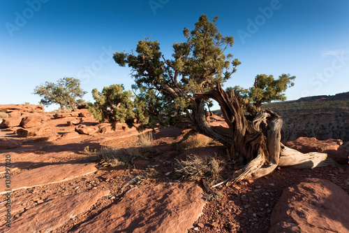 Capitol Reef Nat'l Park, Utah