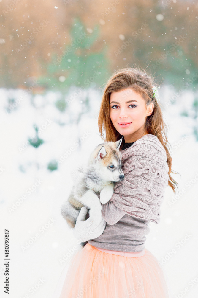 A husky puppy in the hands of a beautiful bride. Winter in the forest. A husky puppy in the hands of a beautiful bride. Winter in the forest.