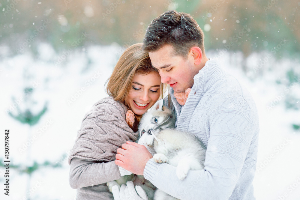 Man and woman play with the husky. Man and woman play with the husky.