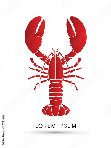 Lobster Top view graphic vector.