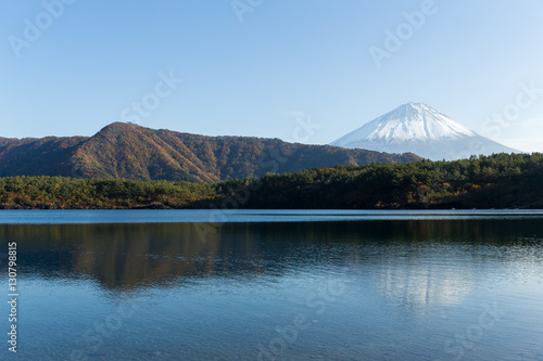 Mount Fuji and Saiko Lake © leungchopan