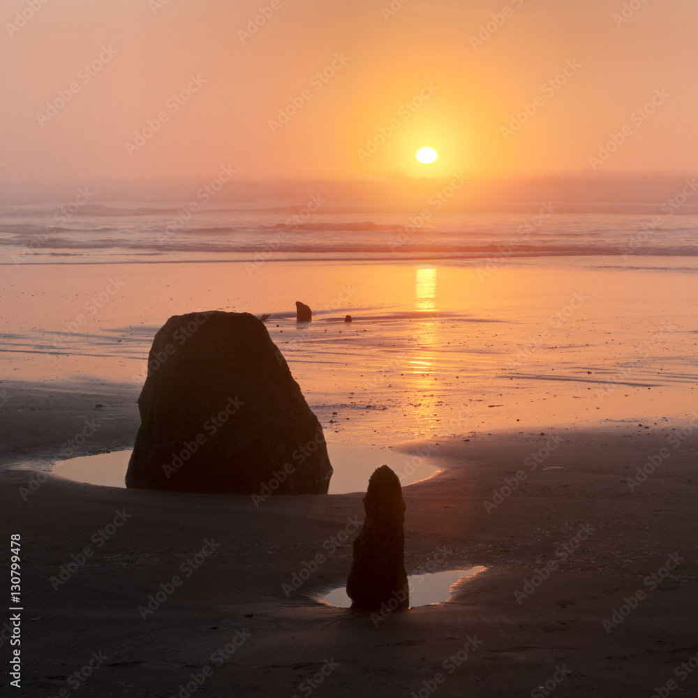Sunset at South Beach with Petrified trees at Neskowin, OR