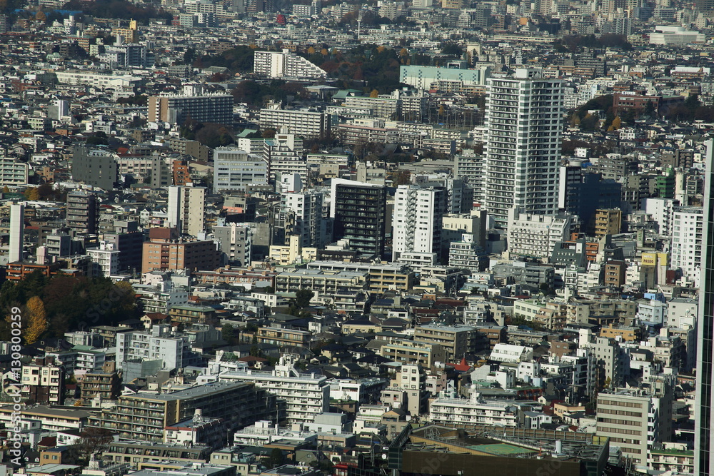 capital city of Japan view with Shinjuku districts