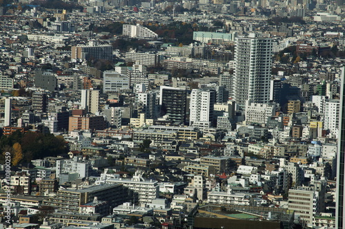 capital city of Japan view with Shinjuku districts © jungwhan