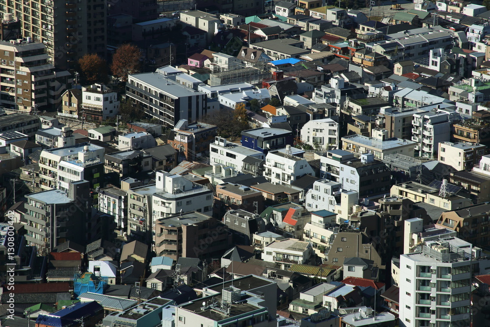 Fototapeta premium capital city of Japan view with Shinjuku districts