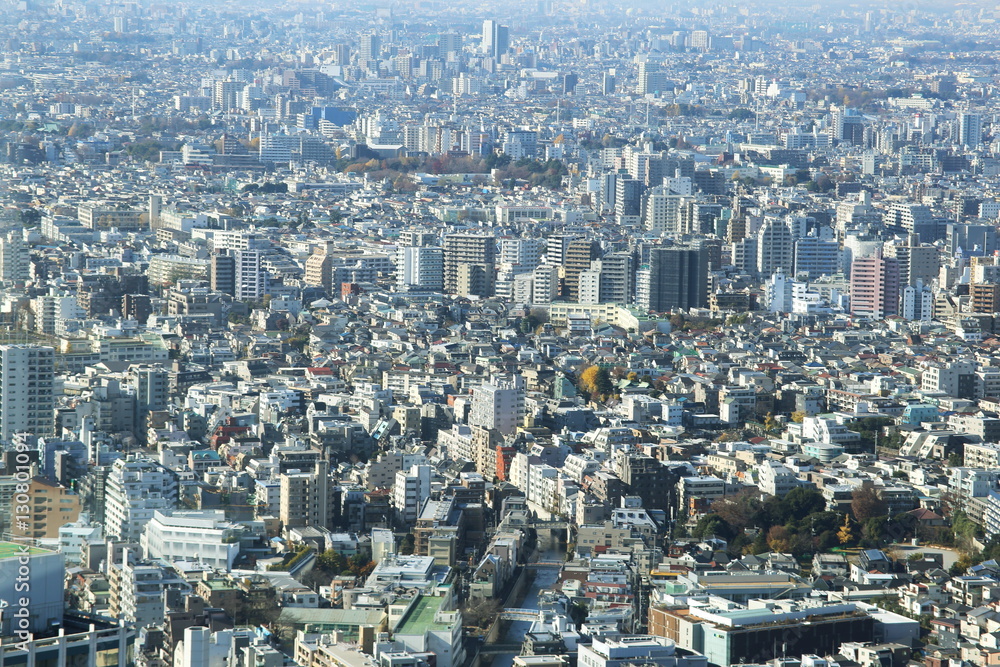 aerial view of Shinjuku district modern architecture,Tokyo, Japan