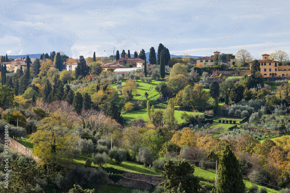 above view of green gardens in suburb of Florence