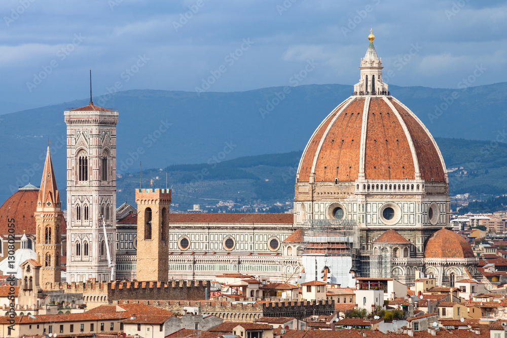 view of Cathedral in Florence city