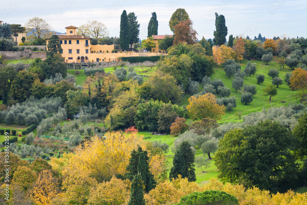 green and yellow gardens in outskirts of Florence