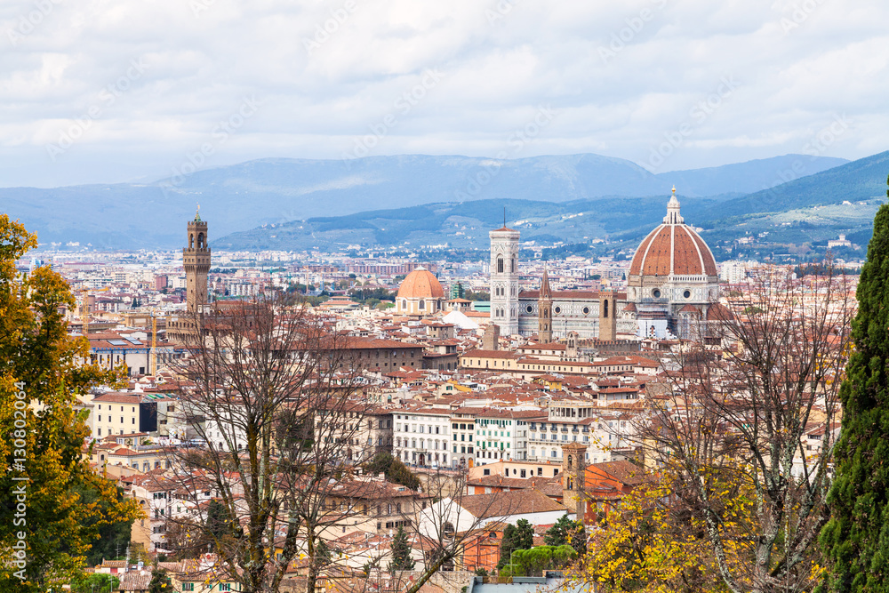 above view of Florence town in autumn day
