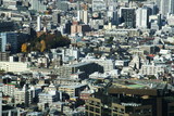 aerial view of Shinjuku district modern architecture,Tokyo, Japan