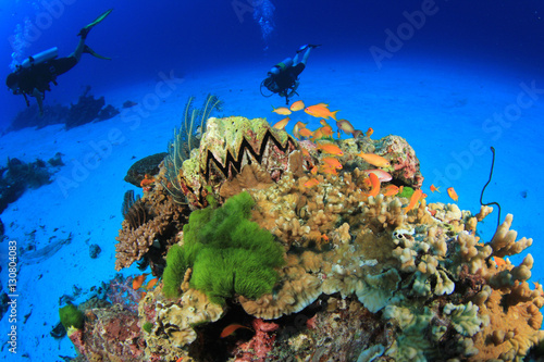 Fototapeta Naklejka Na Ścianę i Meble -  Scuba divers exploring coral reef