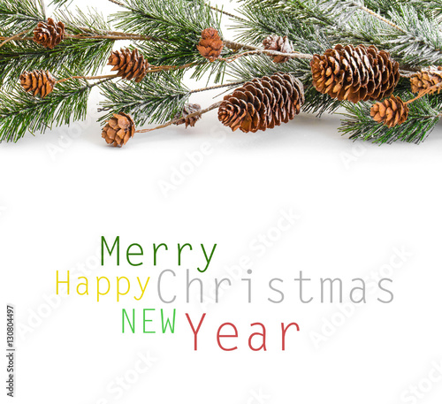 Christmas tree branch