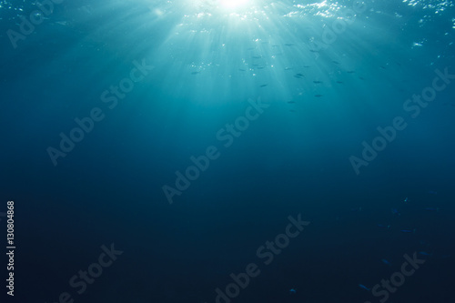 Underwater background in ocean