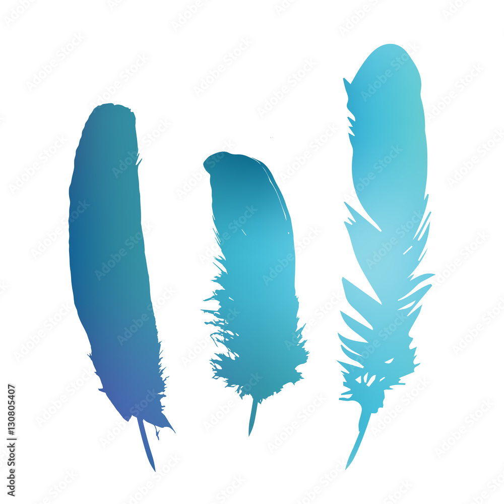 Obraz premium Colorful vector feathers in isolated white background