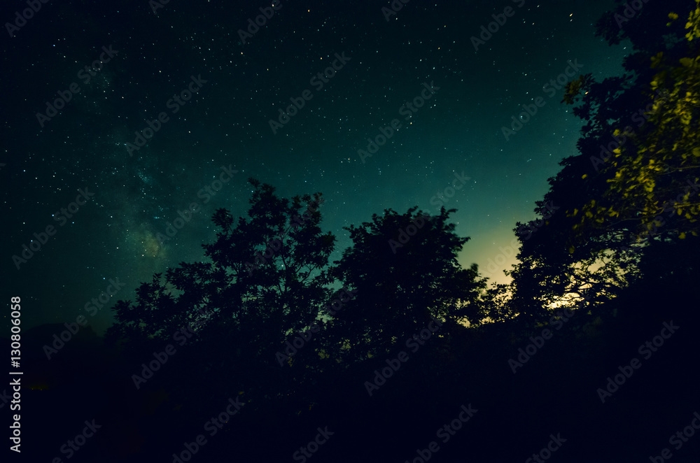 Night forest with starry sky and silhouette of trees or forest in the night with bright stars Night forest with starry sky and silhouette of trees or forest in the night with bright stars
