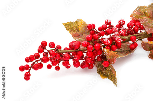 Christmas seasonal border