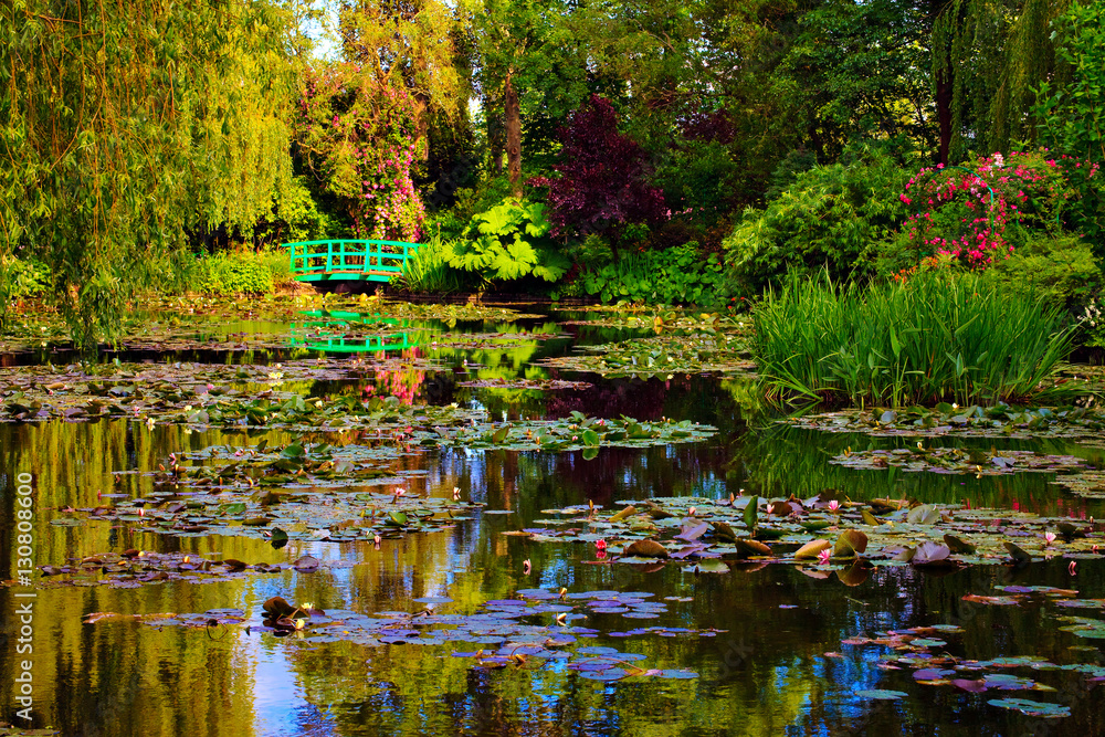 Fototapeta premium Giverny, jardin d'eau