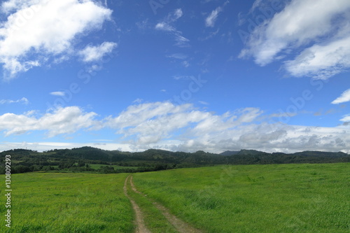 夏の草原 青空の雲と一本道