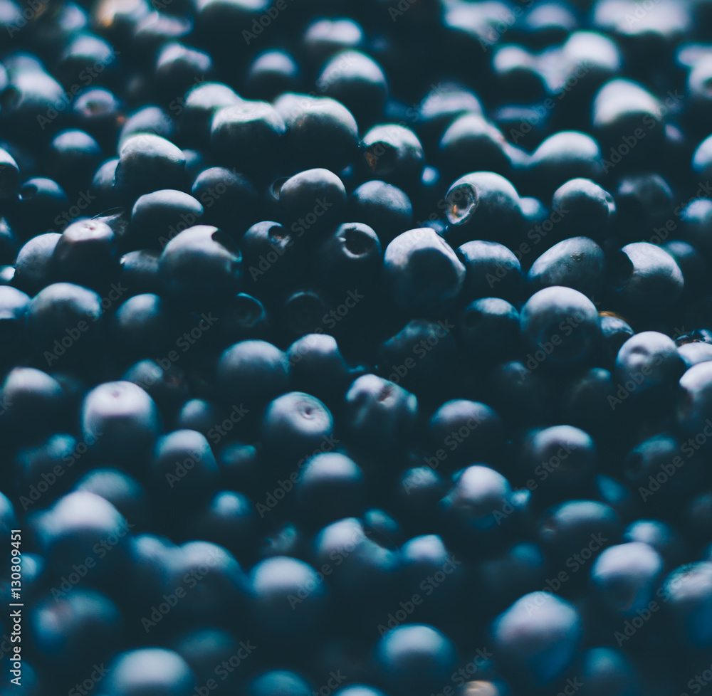 Obraz premium Fresh Blueberry Background