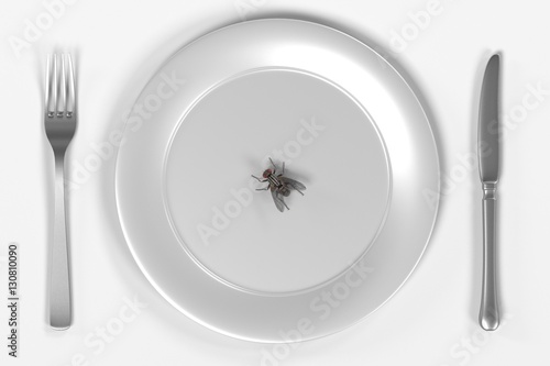3d render of fly on plate © bescec