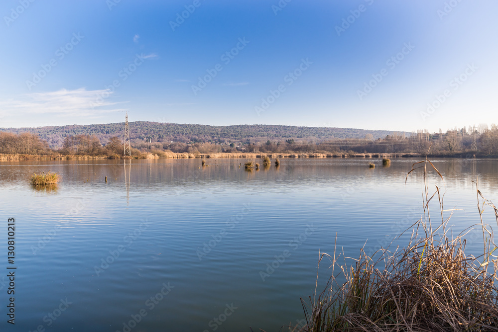 Marsh of Mercallo, portion of Lake Comabbio between Corgeno and Mercallo, province of Varese, Italy  