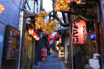 Wandcirkels Tokio Restaurantstraatje met rode herfstbladeren  © Sean K