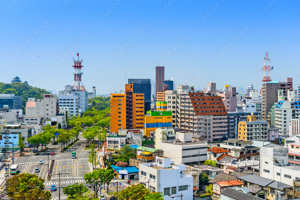 Fototapeta premium Wakayama City, Japan downtown cityscape.