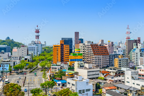 Wakayama City, Japan downtown cityscape.