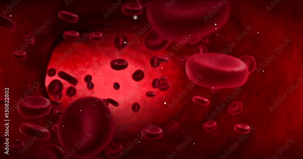 red blood cells animation in an artery, flow inside body, medical human health-care red blood cells animation in an artery, flow inside body, medical human health-care