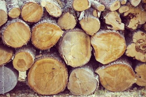 Natural wood background  wood  firewood stacked and ready for us