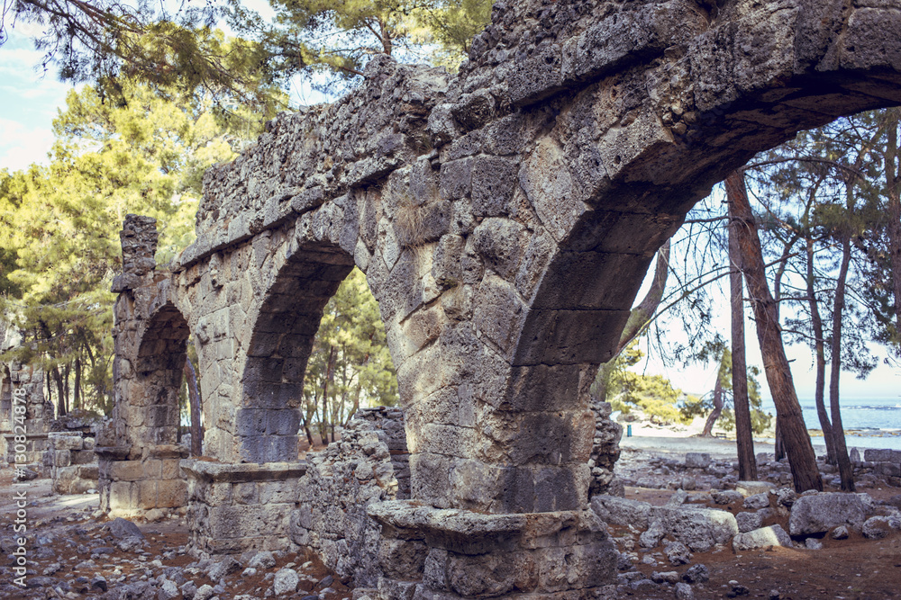 Ruins of Ancient Roman Aqueducts, Rome