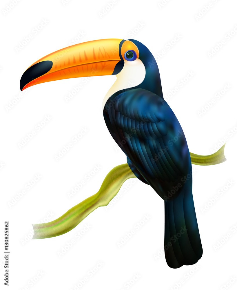 Toucan Sitting On Twig Realistic Image Toucan Sitting On Twig Realistic Image