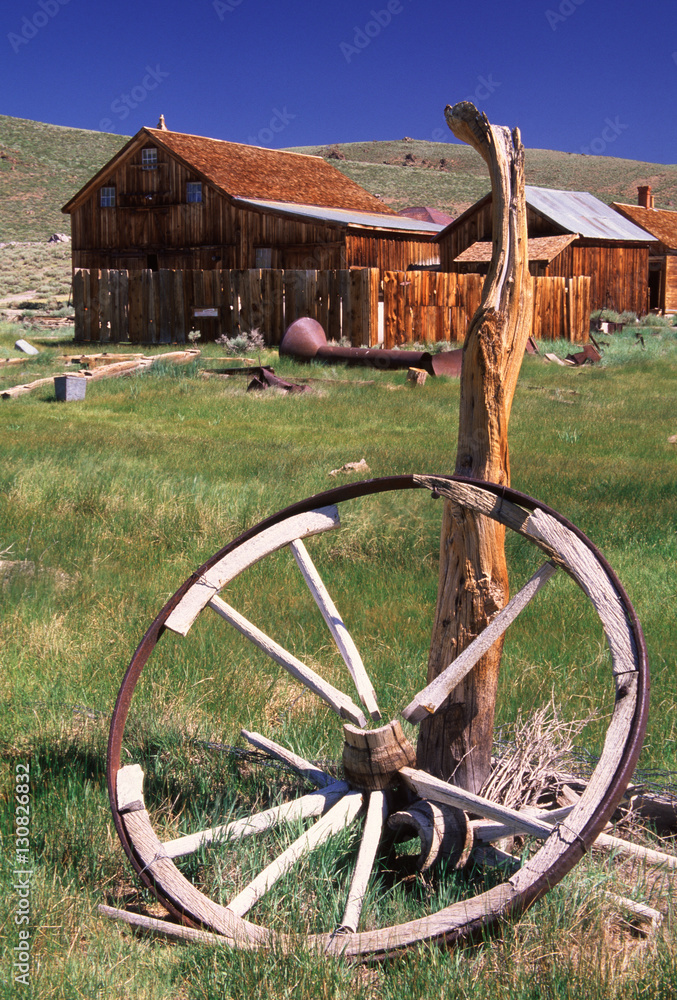 Fototapeta premium Bodie