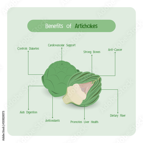 Infographic for artichoke benefits with handwriting font style