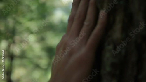 Close Up Of Man's Hand On Tree